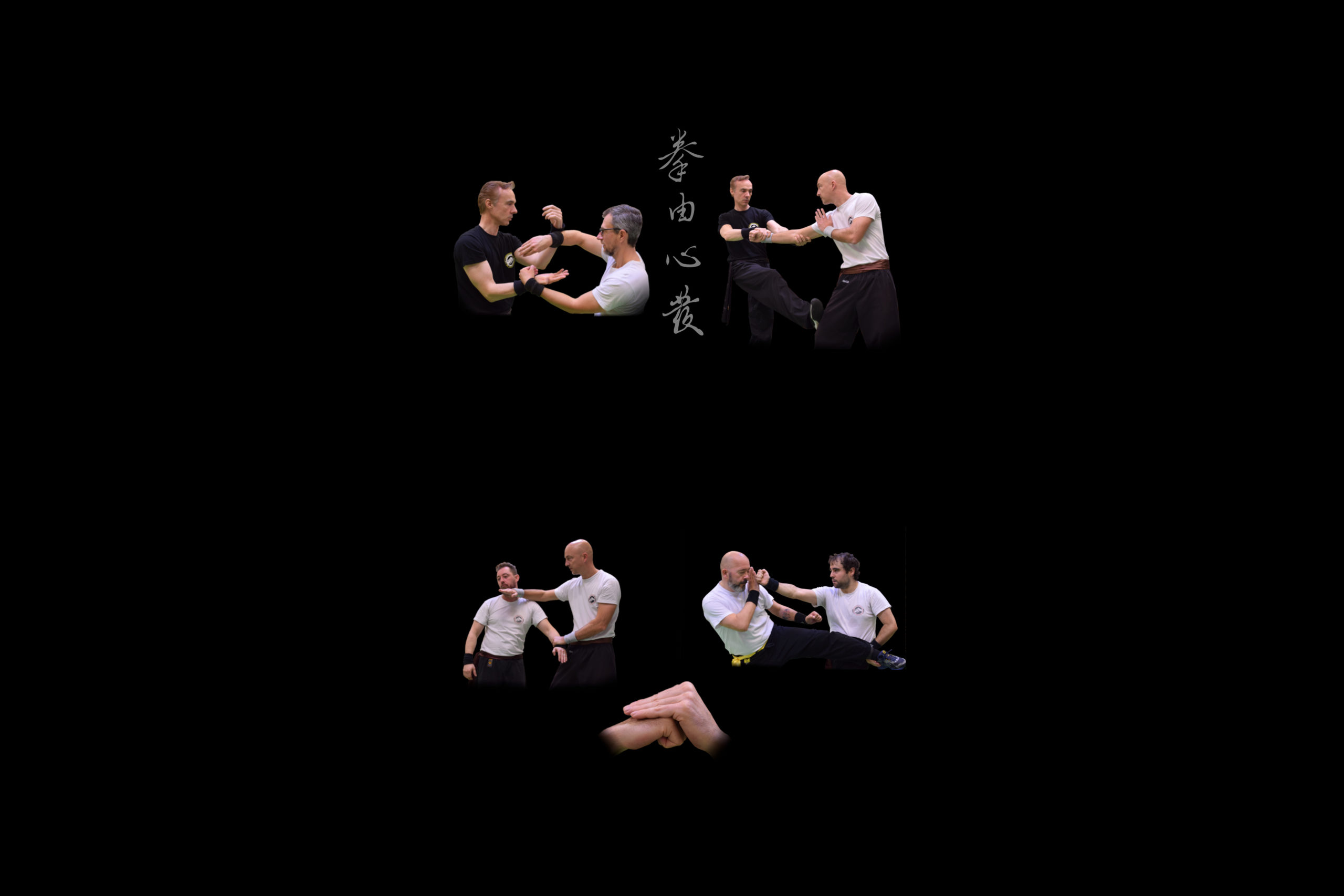 Wing Chun Academy